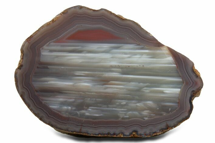 Polished Queensland Agate - Australia #323013